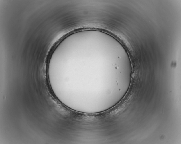 X0000094430982200711291529