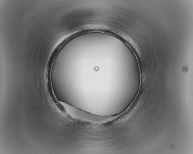 X0000094430983200711291529