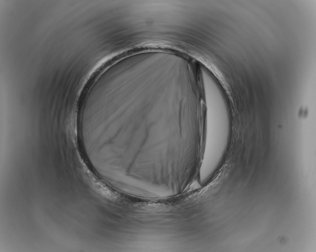 X0000094430984200711291529