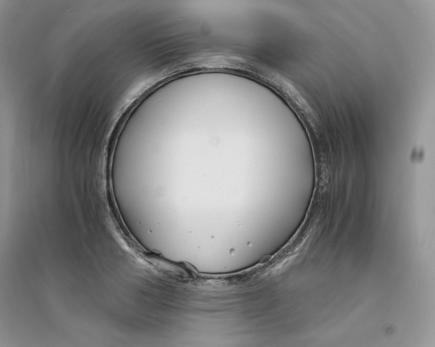 X0000094430986200711291529