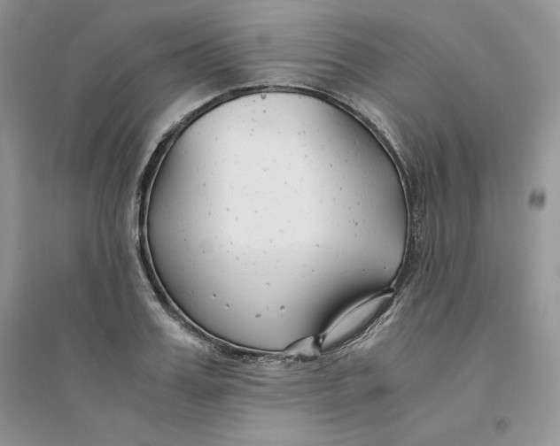 X0000094430987200711291529