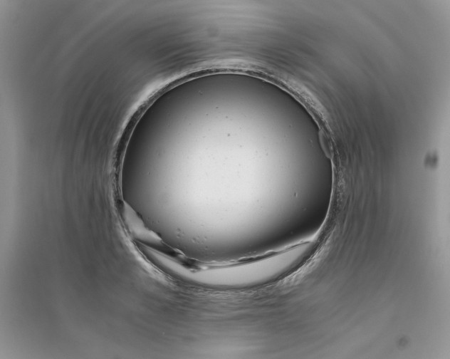 X0000094430989200711291529