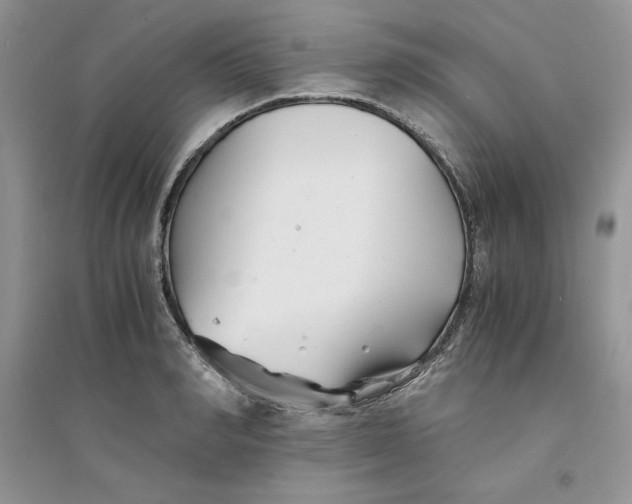 X0000094430990200711291529