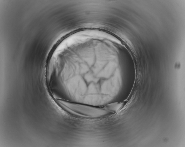 X0000094430992200711291529