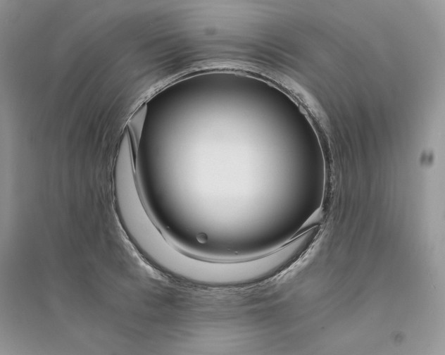 X0000094430993200711291529