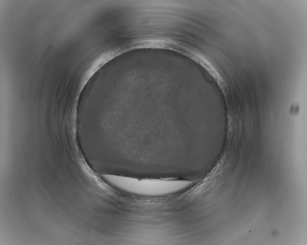 X0000094430994200711291529