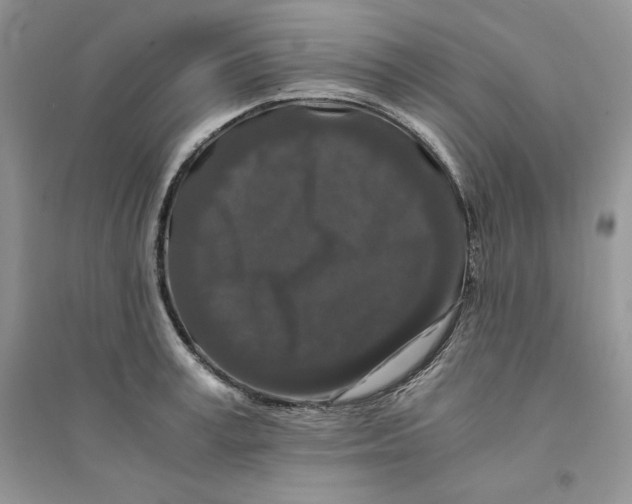 X0000094430995200711291529