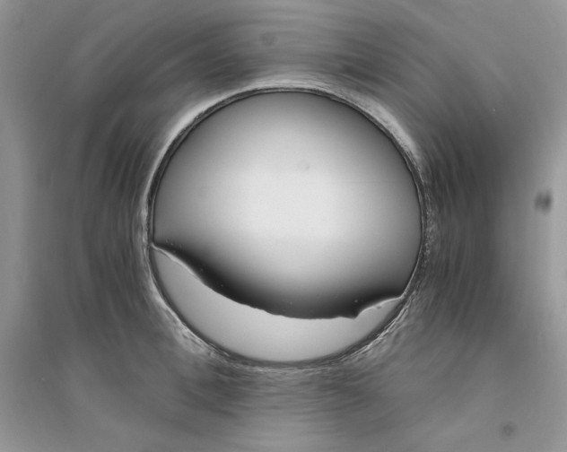 X0000094430996200711291529