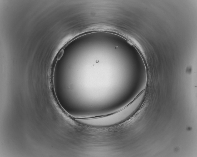 X0000094430997200711291529