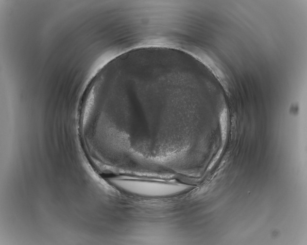 X0000094430998200711291528