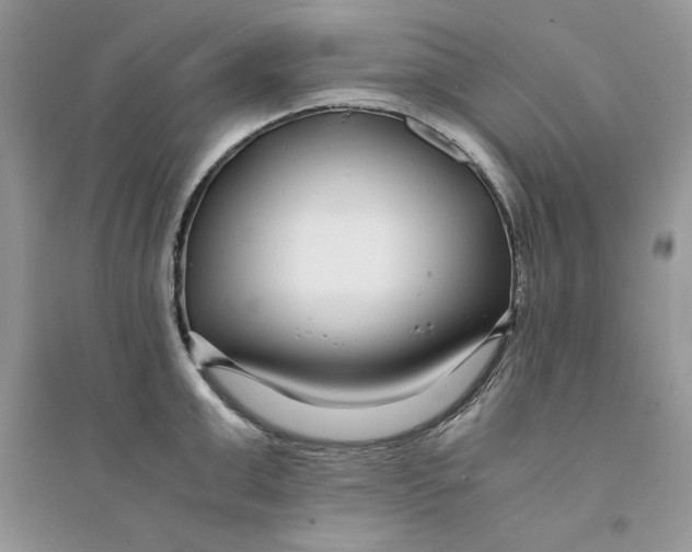 X0000094430999200711291528