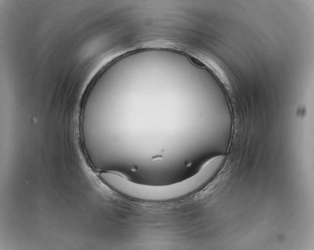 X0000094431000200711291528