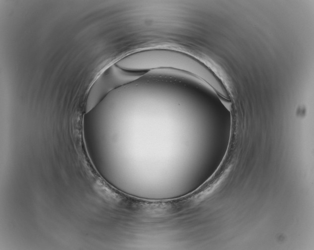 X0000094431001200711291528