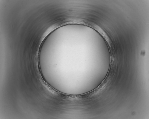 X0000094431002200711291528