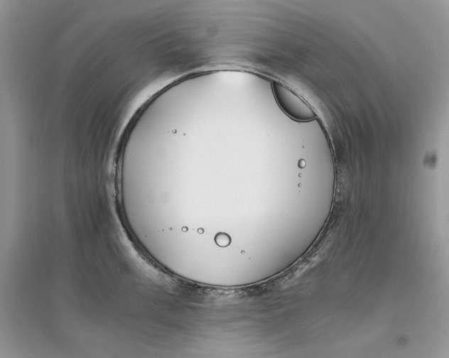 X0000094431003200711291528