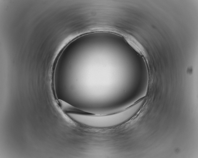 X0000094431005200711291528