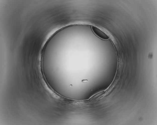 X0000094431006200711291528