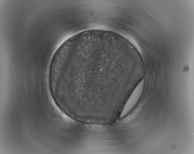 X0000094431007200711291528