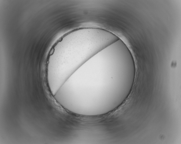 X0000094431008200711291528