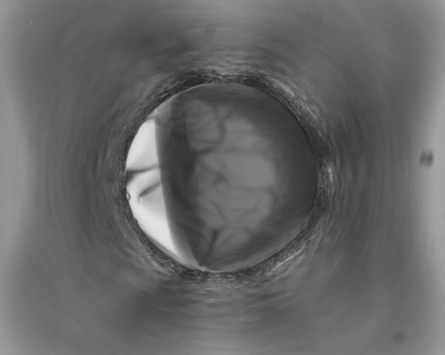 X0000094431009200711291528