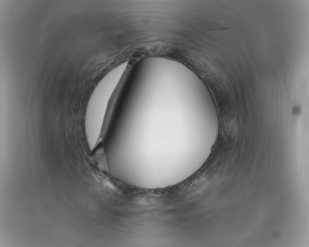 X0000094431010200711291528