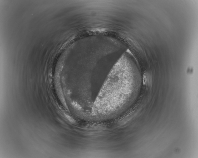 X0000094431011200711291528