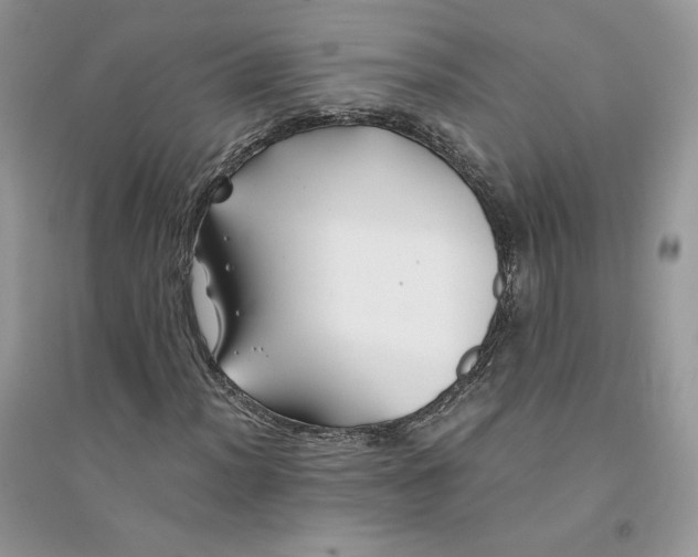 X0000094431012200711291528