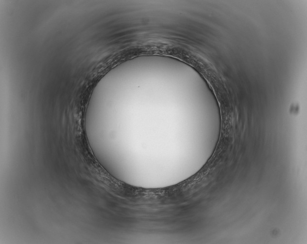 X0000094431013200711291528