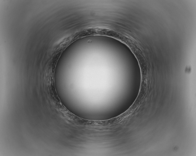 X0000094431014200711291528