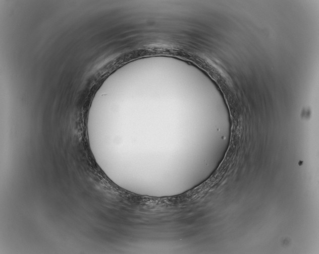 X0000094431015200711291528