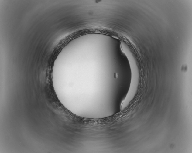 X0000094431016200711291528