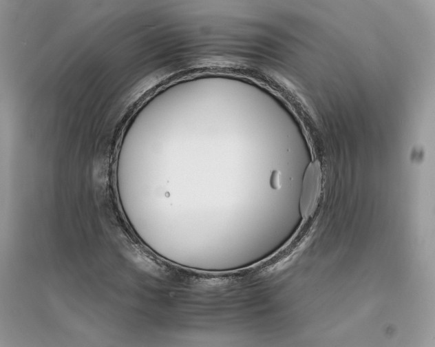 X0000094431017200711291528