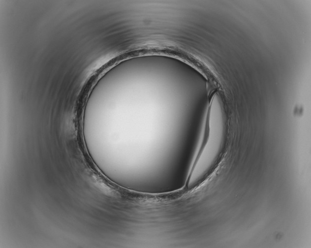 X0000094431018200711291528