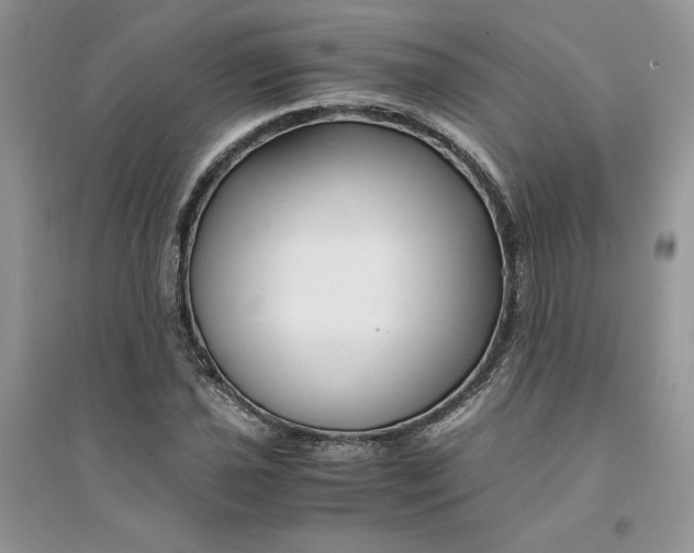 X0000094431021200711291528