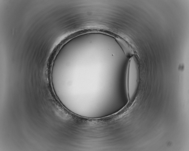 X0000094431022200711291528