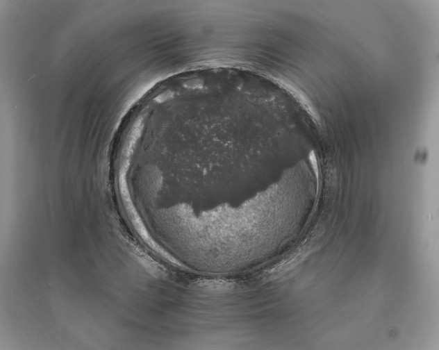 X0000094431023200711291528