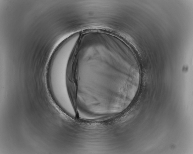 X0000094431024200711291528