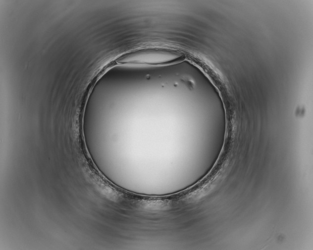 X0000094431025200711291528