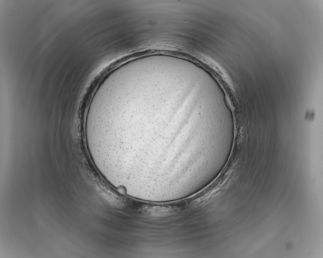 X0000094431027200711291528