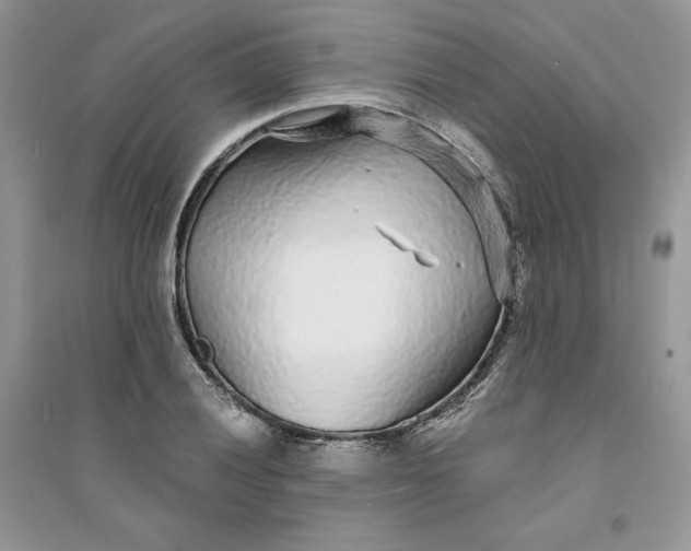 X0000094431028200711291528