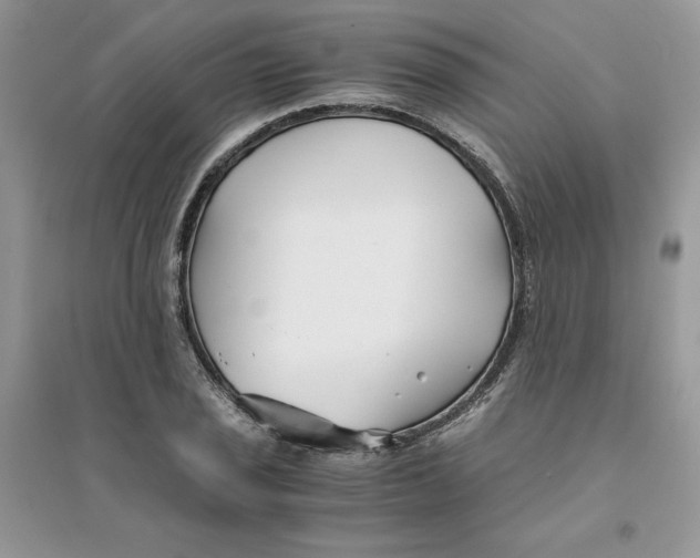 X0000094431029200711291528