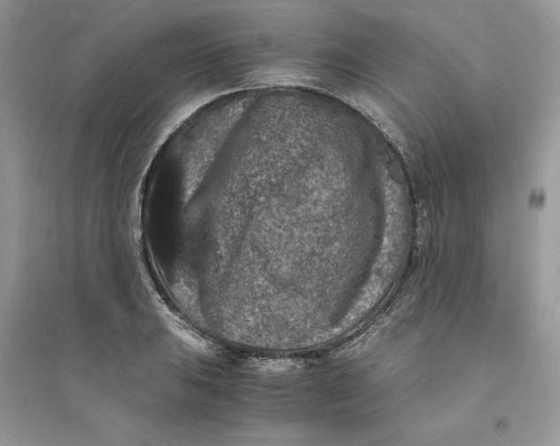 X0000094431031200711291528