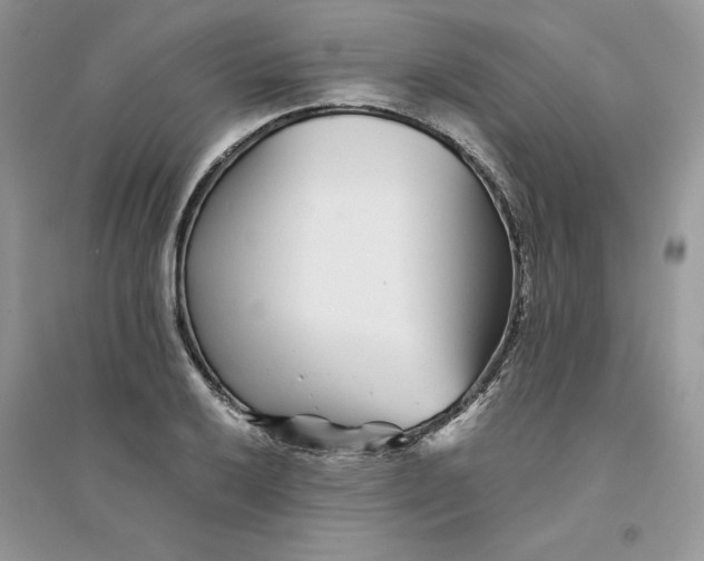 X0000094431032200711291528