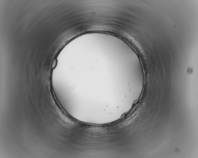 X0000094431033200711291528