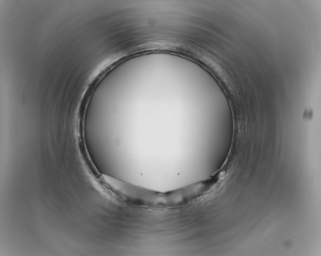 X0000094431034200711291528