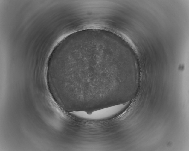 X0000094431035200711291528