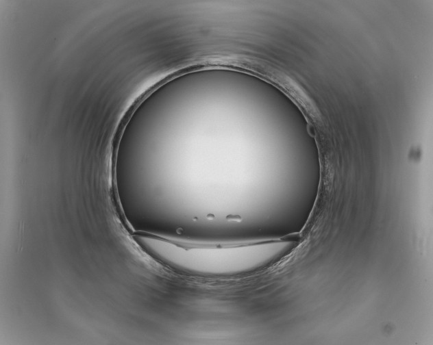 X0000094431036200711291528