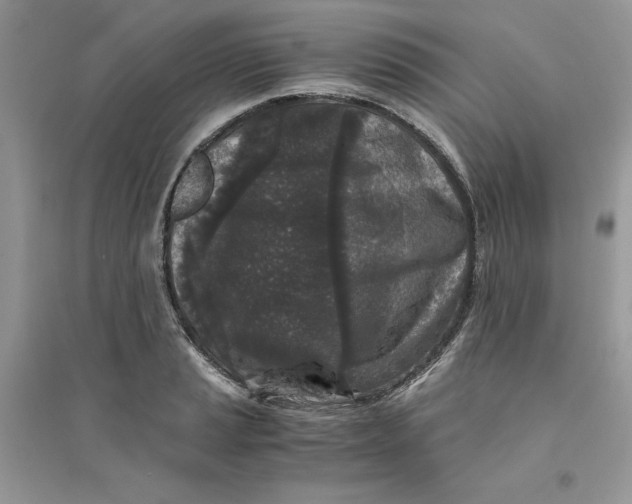 X0000094431037200711291528