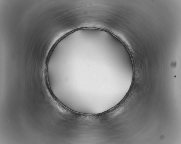 X0000094431040200711291528