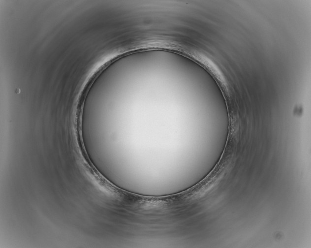 X0000094431043200711291528